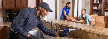 Best Termite Inspection and Treatment  in Warm Springs, OR